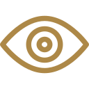 Vision Icon